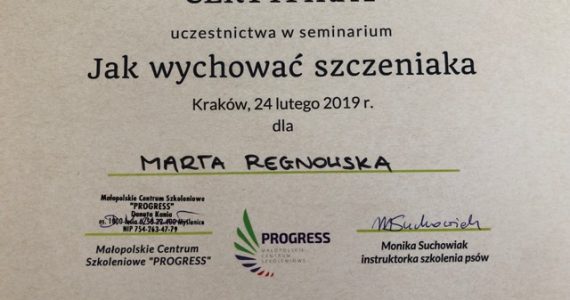 JAK WYCHOWAĆ SZCZENIAKA